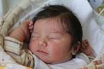 Jindřich Coufal se rodičům Miloslavě a Jindřichovi ze Střem narodil v mělnické porodnici 21. ledna 2017, vážil 4,05 kg a měřil 54 cm. Na brášku se těší 5letá Zuzana a 7letá Martina.