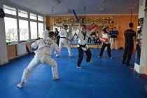 Taekwondisté z mělnického klubu Hansoo si do tréninkového plánu přidali ještě chanbaru. Bojový sport, který je v Čechách teprve na začátku.