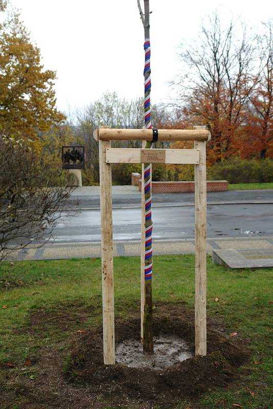 V Jungmannových sadech v Mělníku byl během sváteční neděle zasazen památný strom svobody, který městu věnoval Mělnický osvětový a okrašlovací spolek k třicátému výročí sametové revoluce.