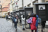 Ve Svatováclavské ulici v Mělníku je od pondělí 11. listopadu k vidění exteriérová výstava fotografií Oldřicha Škáchy s názvem VH – disident, prezident, občan.