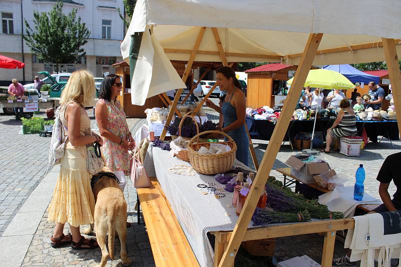 Svatoantonínský jarmark na mělnickém náměstí Míru přilákal v sobotu nejen místní, ale dokonce i turisty ze zahraničí.