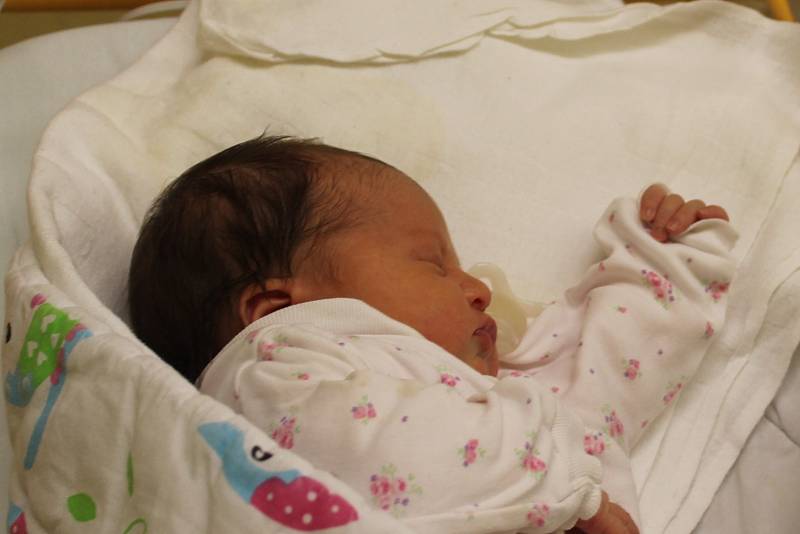 Michaela Nedvědová, Neratovice. Narodila se 17. prosince 2019. Po porodu vážila 2 960 g a měřila 48 cm. Rodiče jsou Petr a Hana Nedvědovi.