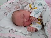 Patricie se v Mělnické porodnici narodila 1. ledna 2023 v 1:33 hodin mamince Barboře Fuchsové. Štastným tatínkem je Petr Novák.