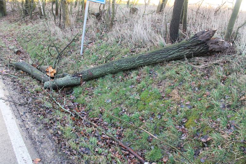 Pondělní vichřice za sebou zanechala popadané stromy také na silnici nedaleko Mšena směrem na Vrátno.