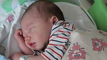 Tobiáš Svatoš, Živonín. Narodil se 7. 5. 2019, po porodu vážil 3330 g a měřil 50 cm. Rodiče jsou Martin Svatoš a Tereza Švoncová.