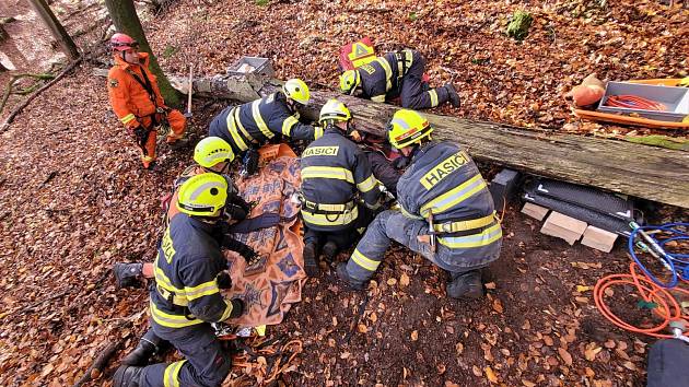 Profesionální hasiči ze stanice Mělník nacvičovali v úterý 7. listopadu dopoledne komplikované vyproštění zaklíněné osoby pod padlým stromem v nepřístupném terénu.