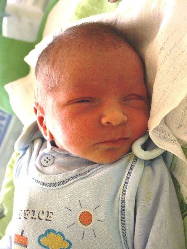 Marek Vostárek se rodičům Tereze a Radkovi Vostárkovým z Milovic narodil v mělnické porodnici 16. července 2013, vážil 3,23 kg a měřil 50 cm. Na brášku se těší 22měsíční Adam.