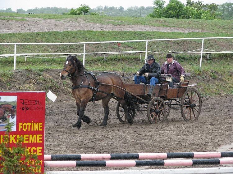 Den koní v Mělníku