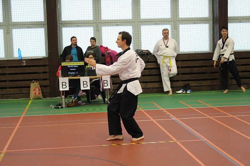 Mělnický klub Taekwondo Hansoo letos pořádal ve sportovní hale Bios už devatenáctý ročník tradičního Hansoo Cupu.