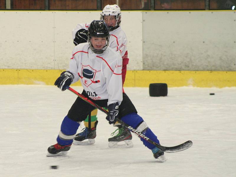 Škola hokejových talentů zavítala znovu do Mělníka, dorazil i Milan Hnilička.