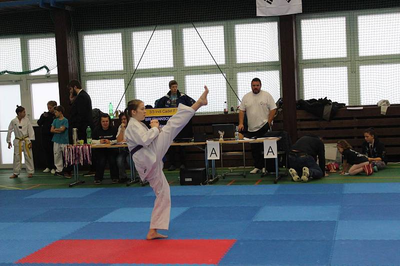 Mělnický klub Taekwondo Hansoo letos pořádal ve sportovní hale Bios už devatenáctý ročník tradičního Hansoo Cupu.