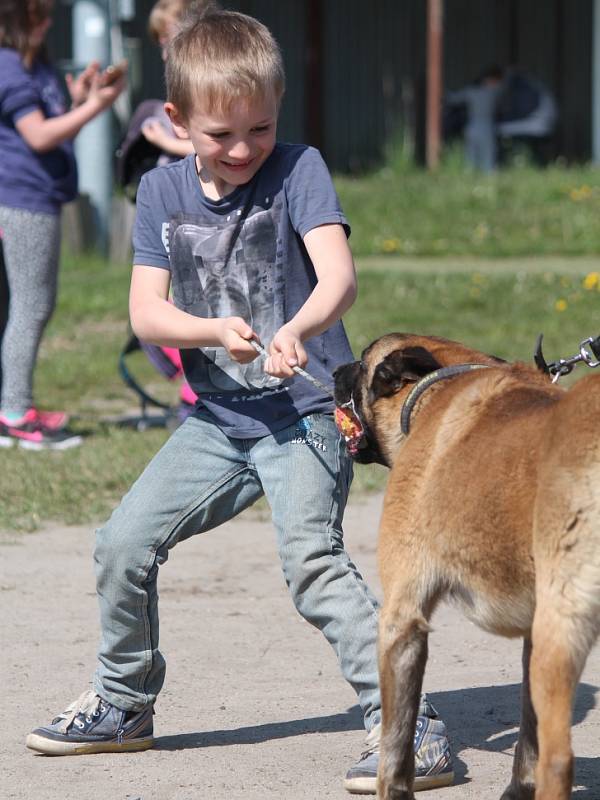 Den Země v mělnickém útulku.