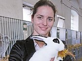Lucie Zapletalová s chovem králíků začala relativně nedávno.