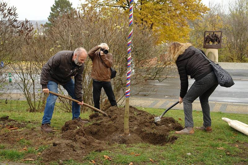 V Jungmannových sadech v Mělníku byl během sváteční neděle zasazen památný strom svobody, který městu věnoval Mělnický osvětový a okrašlovací spolek k třicátému výročí sametové revoluce.