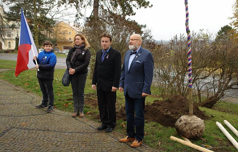 V Jungmannových sadech v Mělníku byl během sváteční neděle zasazen památný strom svobody, který městu věnoval Mělnický osvětový a okrašlovací spolek k třicátému výročí sametové revoluce.