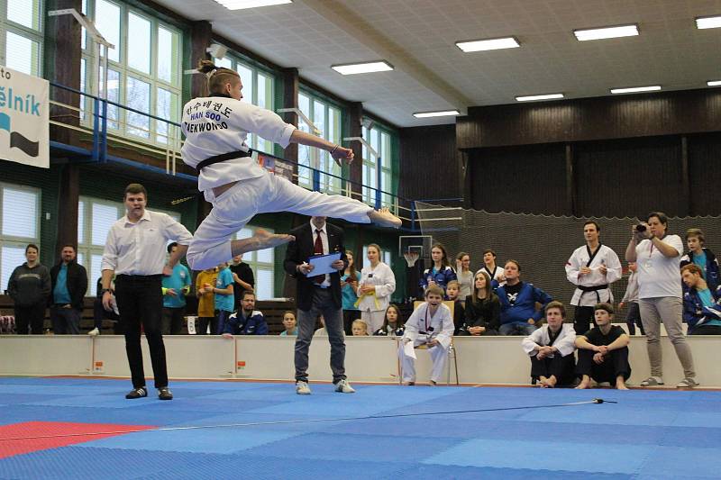 Mělnický klub Taekwondo Hansoo letos pořádal ve sportovní hale Bios už devatenáctý ročník tradičního Hansoo Cupu.