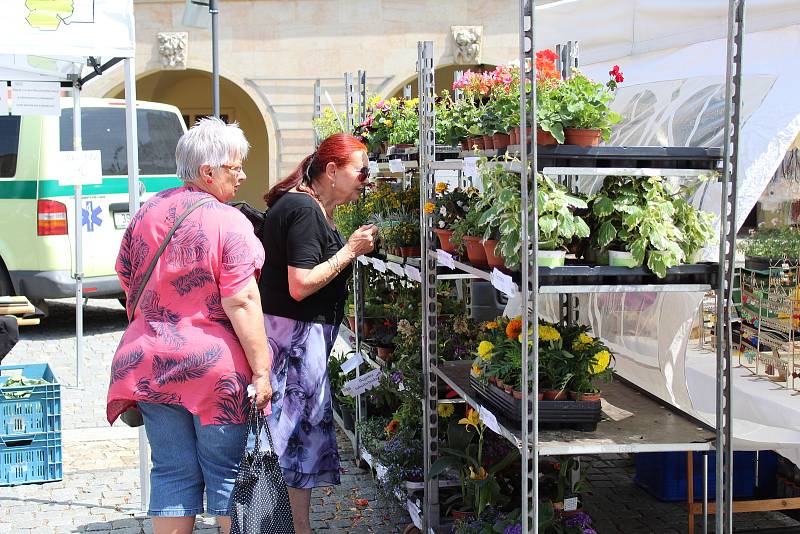 Svatoantonínský jarmark na mělnickém náměstí Míru přilákal v sobotu nejen místní, ale dokonce i turisty ze zahraničí.