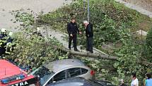 Na parkovišti mezi panelovými domy na sídlišti V Zátiší v Kralupech nad Vltavou skácel ve čtvrtek 21. října vichr strom na parkující auto. Na místě zasahovali hasiči.