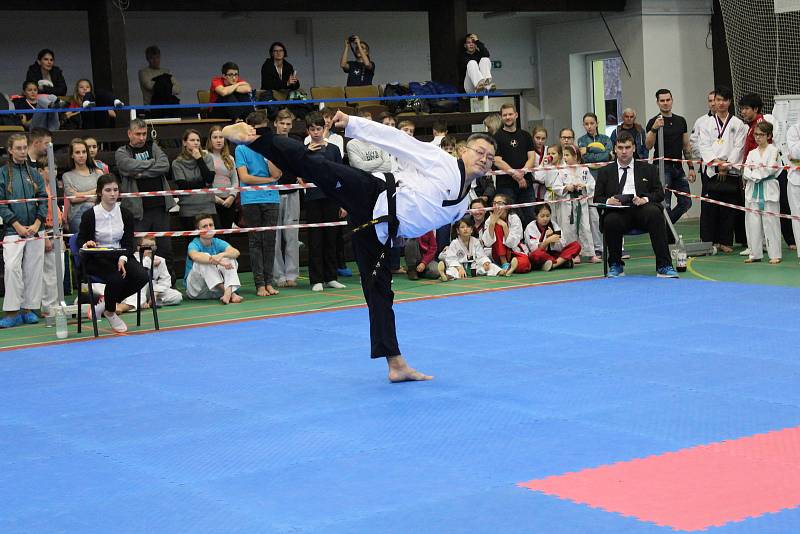 Na domácí turnaj mělnických taekwondistů dorazily téměř dvě stovky závodníků z celého Česka. Mělnický tým nakonec skončil na skvělém čtvrtém místě. V turnaji skills, ve kterém reprezentovali vždy tři bojovníci z každého týmu, skončilo mělnické Hansoo na z