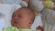Tobiáš Werner se rodičům Broně Ladecké a Lukáši Wernerovi z Mělníka narodil v mělnické porodnici 6. srpna 2013, vážil 3,80 kg a měřil 49 cm.