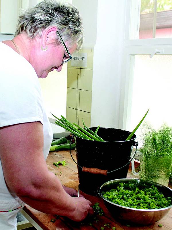 Food Revolution Day v ZŠ Ing. M. Plesingera-Božinova v Neratovicích.