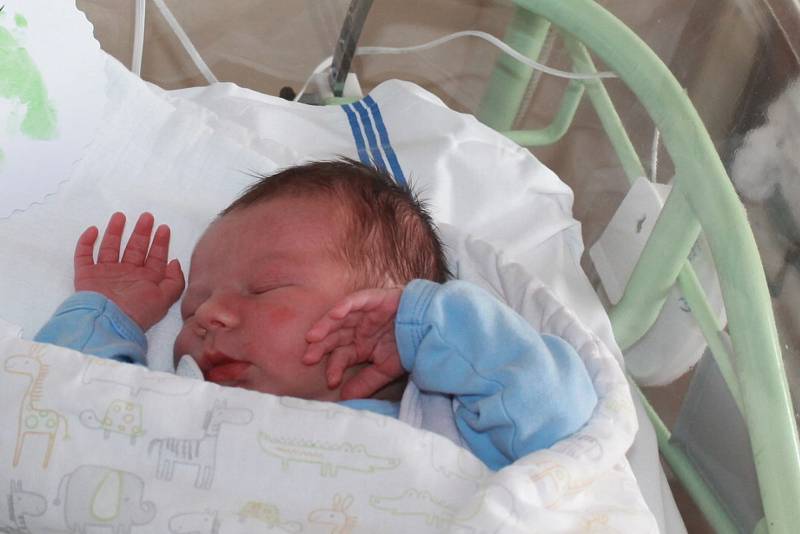 Jan Dvořák, Mělník. Narodil se 31. 7. 2019, po porodu vážil 3600 g a měřil 49 cm. Rodiči jsou Jan a Kristýna Dvořákovi.