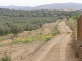 Cesta mezi olivovými háji ve druhé etapě pouti