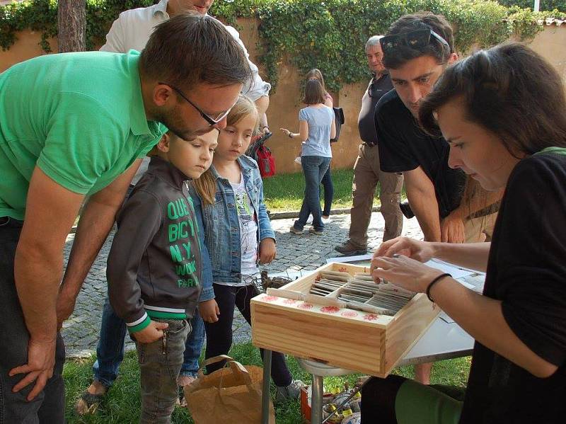 Na Férové snídani NaZemi lidé společně posnídali na veřejném místě, aby netradičním způsobem oslavili Světový den pro fair trade.