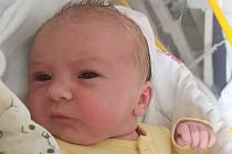 Ella Halbichová se narodila 31.srpna 2022 s váhou 3150 g a mírou 48 cm v mělnické porodnici rodičům Alešovi a Monice z Mělníka. Doma ji přivítal bráška Alešek .