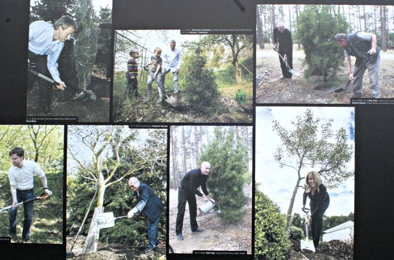 Putovní fotografické výstavě, která je věnovaná projektu Kořeny osobností, patří náměstí Míru v Mělníku celý měsíc až do konce března.