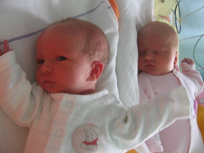 Adélka a Barborka Šenkýřovy se rodičům Jitce a Liborovi z Velkého Borku narodily 15. května 2012. Adélka vážila 2,94 kg a měřila 48 cm a Barborka vážila 2,27 kg.
