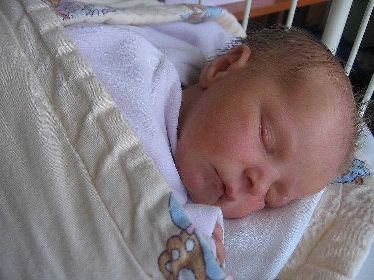Anna Wolfová se rodičům Alici a Janovi ze Všetat narodila 16. listopadu 2007, vážila 3,10 kg a měřila 50 cm. Na sestřičku se těší 14letý Honza a 13letá Eliška.