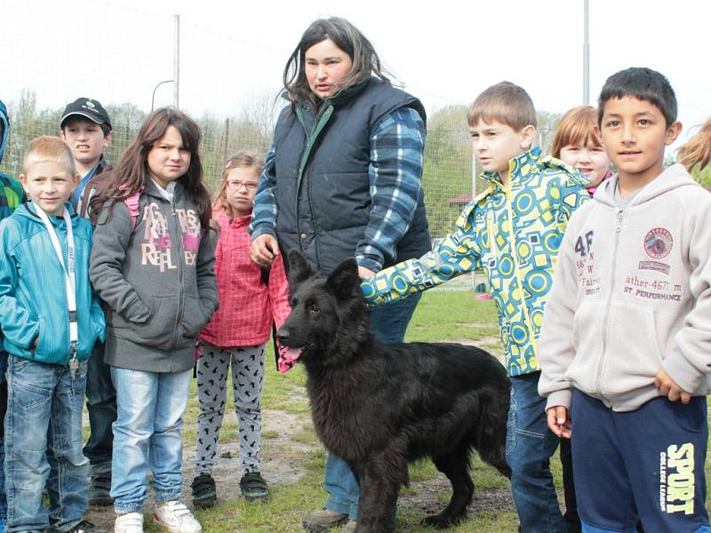 Den Země v mělnickém útulku pro opuštěná zvířata.