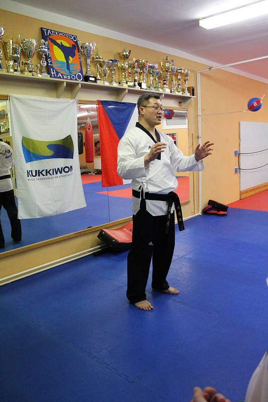 Že Taekwondo není jen sport, ale opravdické umění předvedl Mistr Lee nejen mělnickým bojovníkům, ale i přihlížejícím divákům.