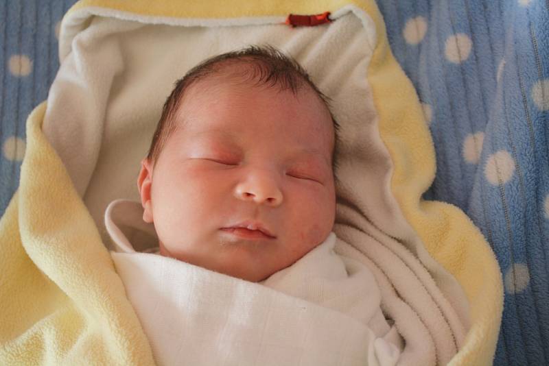 Miriam Šikýřová se rodičům Marii Zemanové a Rostislavu Šikýřovi z Odoleny Vody narodila v neratovické porodnici 13. února 2017, vážila 3,76 kg a měřila 50 cm. Na sestřičku se těší 3letý Rostík.