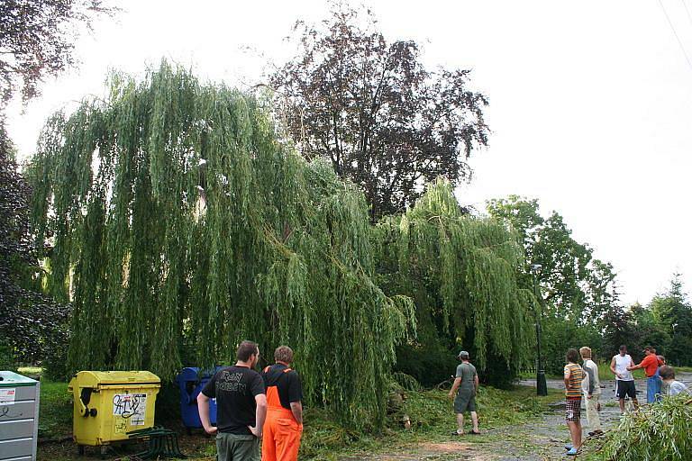 Následky vichřice na Mšensku