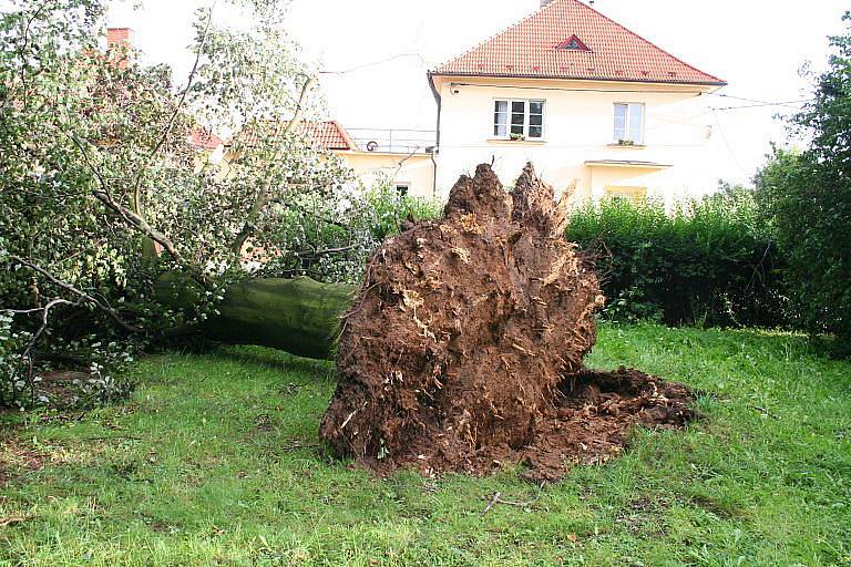 Následky vichřice na Mšensku