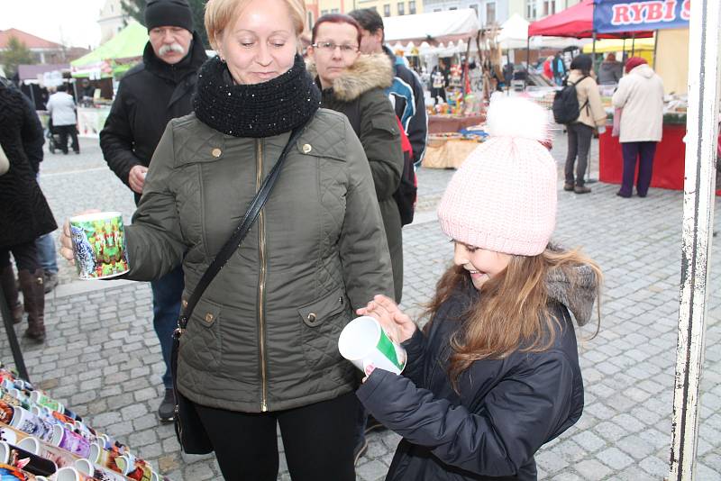 Mělnický jarmark, který v sobotu 18. listopadu i přes chladné počasí přilákal na náměstí Míru desítky návštěvníků, se ke spokojenosti organizátorů vydařil.