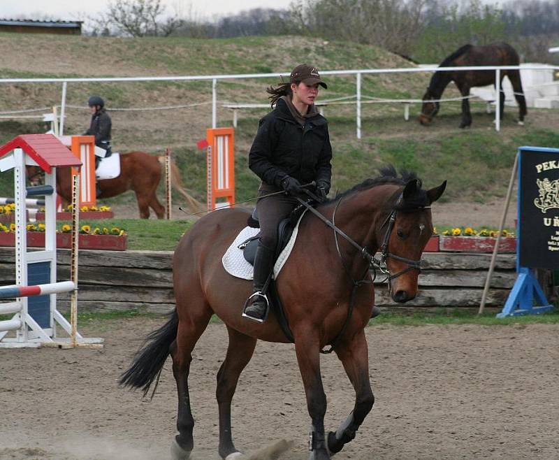 Mělnický jarní pony festival 