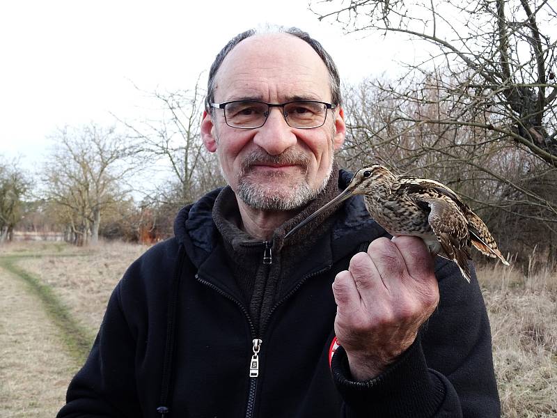 Ornitolog Vít Štancl se věnuje ptactvu ve středočeských pískovnách.