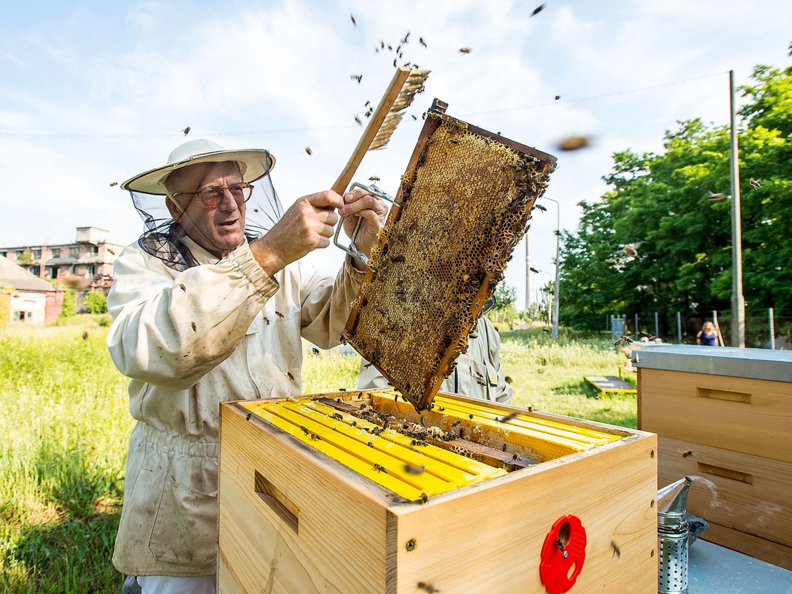 Včelaření ve Spolaně laboratoř pozlatila už druhým rokem - Rakovnický deník