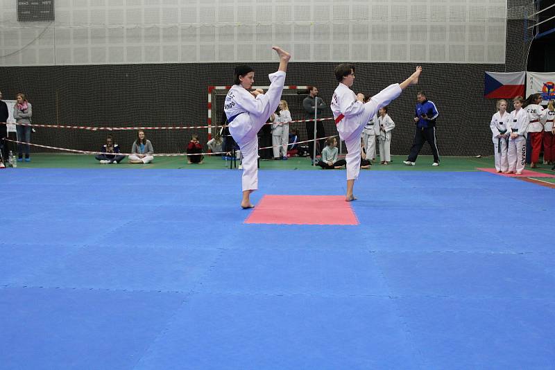 Na domácí turnaj mělnických taekwondistů dorazily téměř dvě stovky závodníků z celého Česka. Mělnický tým nakonec skončil na skvělém čtvrtém místě. V turnaji skills, ve kterém reprezentovali vždy tři bojovníci z každého týmu, skončilo mělnické Hansoo na z