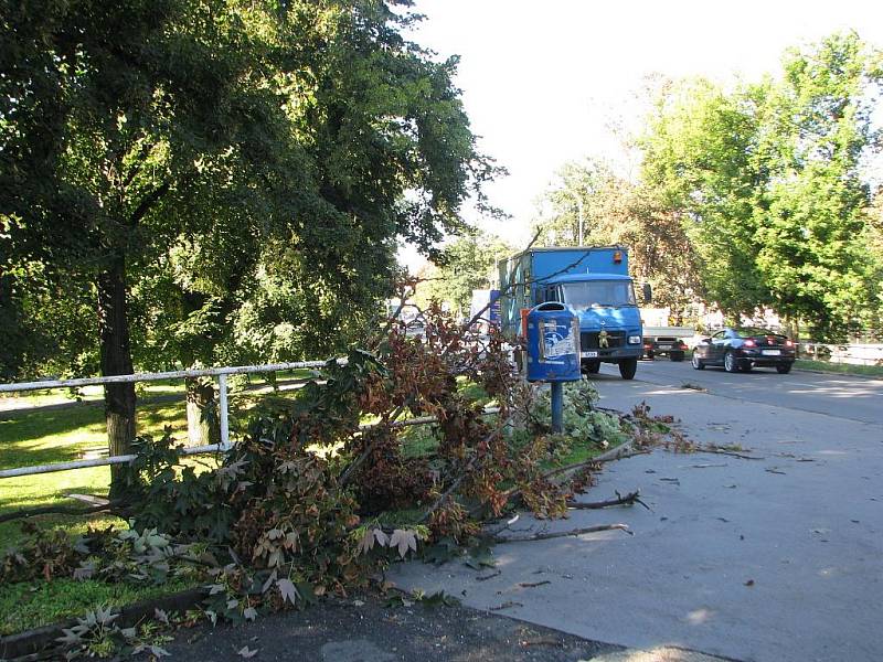 Spadené stromy po větrné smršti v Kralupech nad Vltavou.