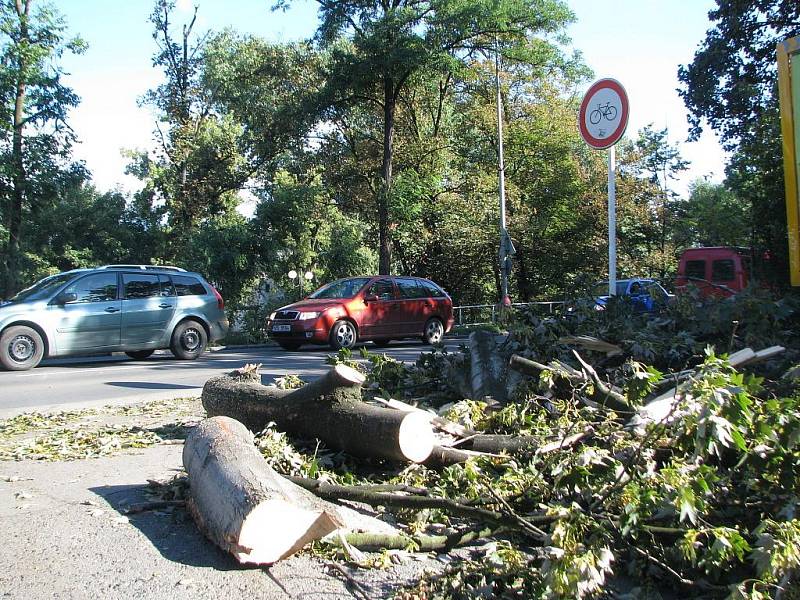 Spadené stromy po větrné smršti v Kralupech nad Vltavou.