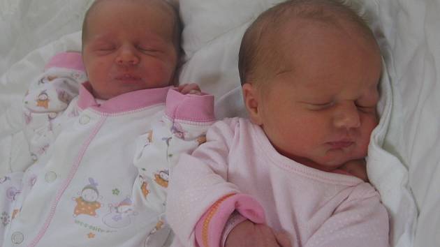 Nina a Lenka Plškovy se rodičům Janě a Richardovi ze Štětí narodily 13. listopadu 2012. Nina vážila 2,90 kg a měřila 48 cm a Lenka vážila 2,69 kg a měřila 47 cm. Na sestřičky se těší 3letá Rozárka.