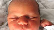 Adam Novotný se rodičům Simoně a Davidovi z Neratovic narodil v neratovické porodnici 16. 7. 2013, vážil 3,54 kg a měřil 50 cm. Na bratříčka se těší Daniel.
