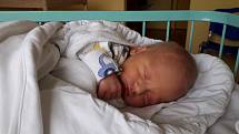 Petr Čeliš se rodičům Kateřině a Pavlovi z Prahy narodil 3. listopadu 2017 v neratovické porodnici, vážil 2,75 kg a měřil 50 cm. Doma se na něj těší sestra Nela.