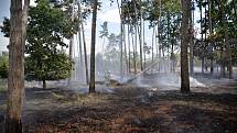 Páteční lesní požár u Nelahozevsi.