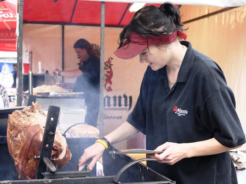 Neratovický Salon 2014 byl věnován vzpomínce na padlé hrdiny z první světové války.