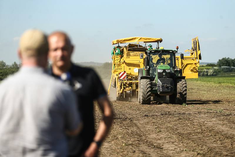 Zahájení sklizně velmi raných brambor představila v pondělí na farmě v Zálezlicích na Mělnicku pěstitelská společnost Hanka Mochov. Na Mělnicku je jednou z pěti či šesti firem, které už na Mělnicku sklízejí letošní brambory – přičemž z pole do obchodu se 